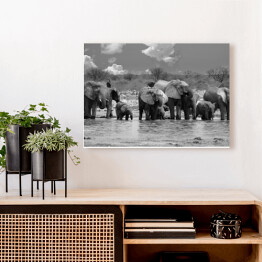 Obraz na płótnie Panorama stada słoni przy wodopoju - Narodowy Park Etosha, Namibia