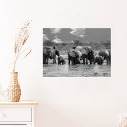 Plakat samoprzylepny Panorama stada słoni przy wodopoju - Narodowy Park Etosha, Namibia