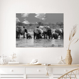 Plakat Panorama stada słoni przy wodopoju - Narodowy Park Etosha, Namibia