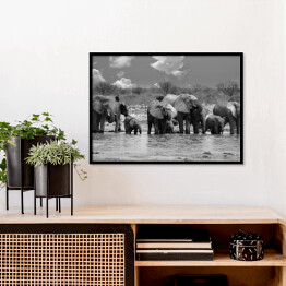 Plakat w ramie Panorama stada słoni przy wodopoju - Narodowy Park Etosha, Namibia