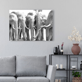 Obraz na płótnie Stado słoni ustawionych w prostej linii przy wodopoju 