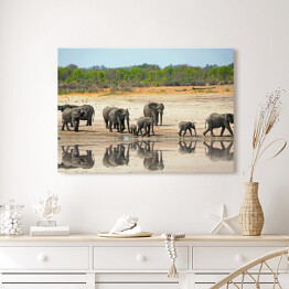 Obraz na płótnie Słonie obok wodopoju w Hwange