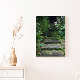Obraz klasyczny Stare schody z mchem wśród drzew