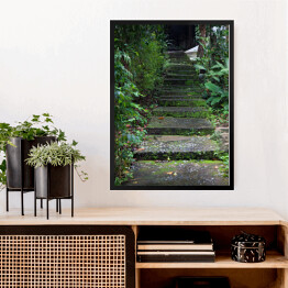 Obraz w ramie Stare schody z mchem wśród drzew