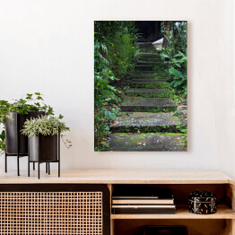 Obraz na płótnie Stare schody z mchem wśród drzew