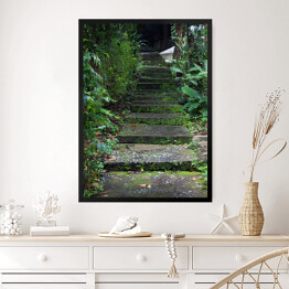 Obraz w ramie Stare schody z mchem wśród drzew