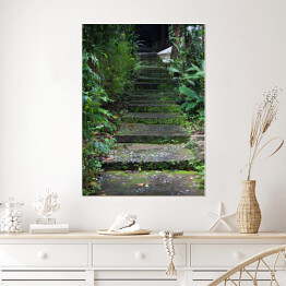 Plakat samoprzylepny Stare schody z mchem wśród drzew