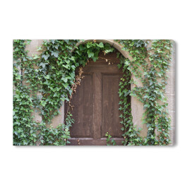 Stare drewniane drzwi z bluszczem