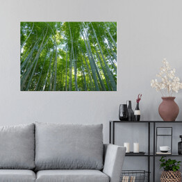 Plakat samoprzylepny Góra Kyoto, Japonia - bambusowy las