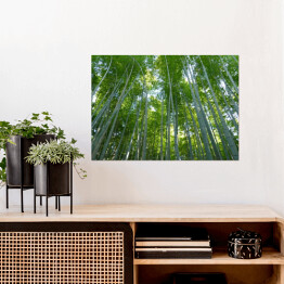 Plakat samoprzylepny Góra Kyoto, Japonia - bambusowy las