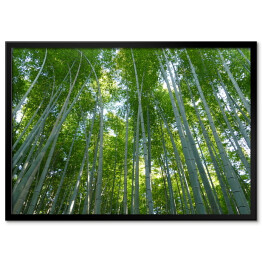 Plakat w ramie Góra Kyoto, Japonia - bambusowy las
