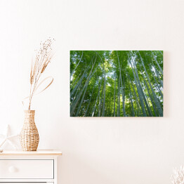 Obraz klasyczny Góra Kyoto, Japonia - bambusowy las