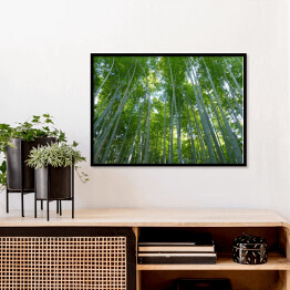 Plakat w ramie Góra Kyoto, Japonia - bambusowy las