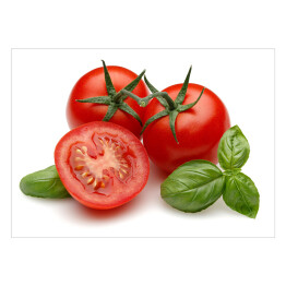 Pomidory i bazylia na białym tle