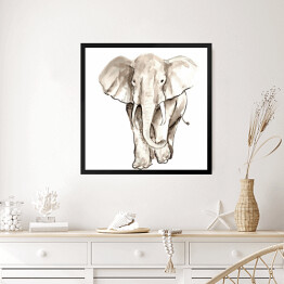 Obraz w ramie Biało czarna kwarela - ilustracja afrykańskiego słonia