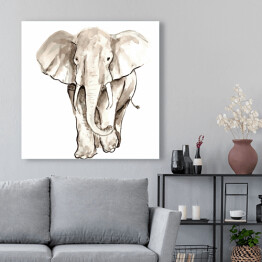 Obraz na płótnie Biało czarna kwarela - ilustracja afrykańskiego słonia