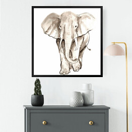 Obraz w ramie Biało czarna kwarela - ilustracja afrykańskiego słonia