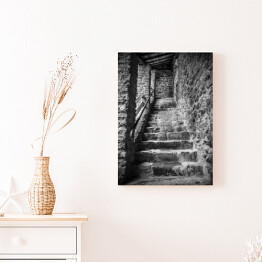 Obraz na płótnie Kamienne schody w starym zamku