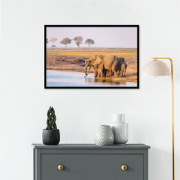 Plakat w ramie Grupa afrykańskich słoni przy wodopoju o zmierzchu, Afryka