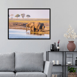 Plakat w ramie Grupa afrykańskich słoni przy wodopoju o zmierzchu, Afryka