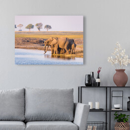 Obraz na płótnie Grupa afrykańskich słoni przy wodopoju o zmierzchu, Afryka