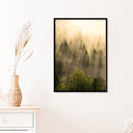 Plakat w ramie Tajemniczy skandynawski las we mgle o wschodzie słońca