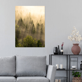 Plakat samoprzylepny Tajemniczy skandynawski las we mgle o wschodzie słońca