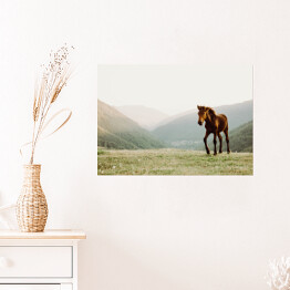 Plakat Koń w polu na tle gór