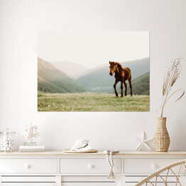 Plakat samoprzylepny Koń w polu na tle gór