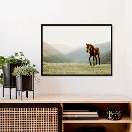 Plakat w ramie Koń w polu na tle gór