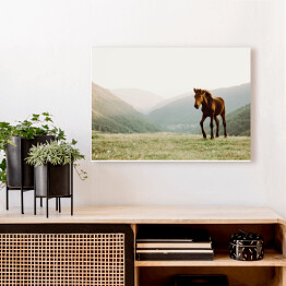 Obraz na płótnie Koń w polu na tle gór