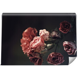 Fototapeta samoprzylepna Wysuszone różowe róże na czarnym tle