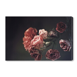 Obraz na płótnie Wysuszone różowe róże na czarnym tle