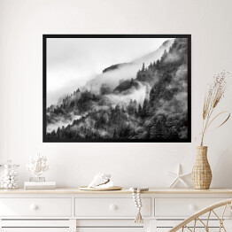 Obraz w ramie Las we mgle na wzgórzu w odcieniach szarości