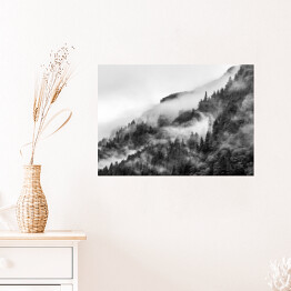 Plakat Las we mgle na wzgórzu w odcieniach szarości