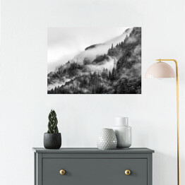 Plakat samoprzylepny Las we mgle na wzgórzu w odcieniach szarości