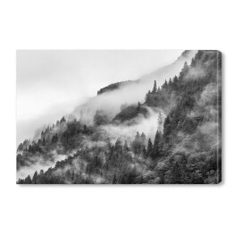 Obraz na płótnie Las we mgle na wzgórzu w odcieniach szarości