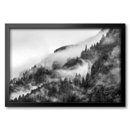 Obraz w ramie Las we mgle na wzgórzu w odcieniach szarości