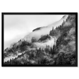Plakat w ramie Las we mgle na wzgórzu w odcieniach szarości