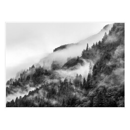 Plakat Las we mgle na wzgórzu w odcieniach szarości