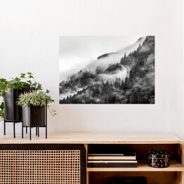 Plakat samoprzylepny Las we mgle na wzgórzu w odcieniach szarości
