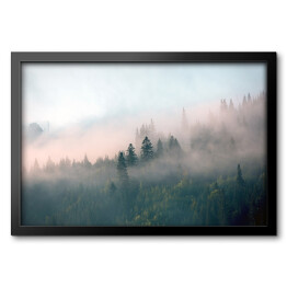 Obraz w ramie Mglisty poranek w lesie na wzgórzach