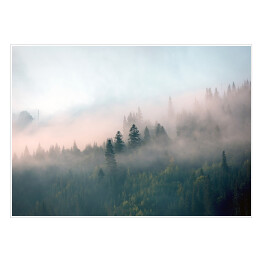 Plakat samoprzylepny Mglisty poranek w lesie na wzgórzach