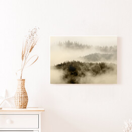 Obraz na płótnie Mgła pokrywająca las na wzgórzach