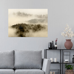 Plakat samoprzylepny Mgła pokrywająca las na wzgórzach