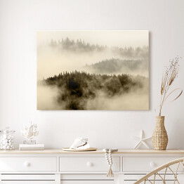 Obraz na płótnie Mgła pokrywająca las na wzgórzach