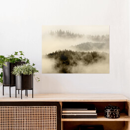 Plakat Mgła pokrywająca las na wzgórzach