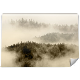 Mgła pokrywająca las na wzgórzach