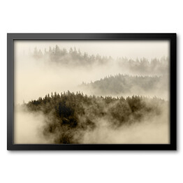 Obraz w ramie Mgła pokrywająca las na wzgórzach