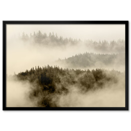 Plakat w ramie Mgła pokrywająca las na wzgórzach